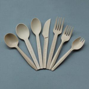 Biodegradable spoon fork set